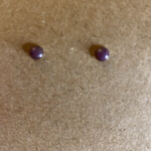 The Rooted Seeds Studs Purple